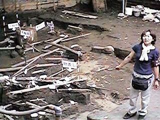 �w�|���������