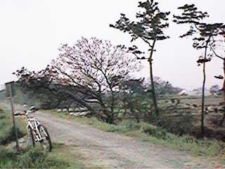 ���͐쉈���̓y��