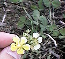 �P�L�c�l�m�{�^��