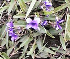 �m�W�X�~��